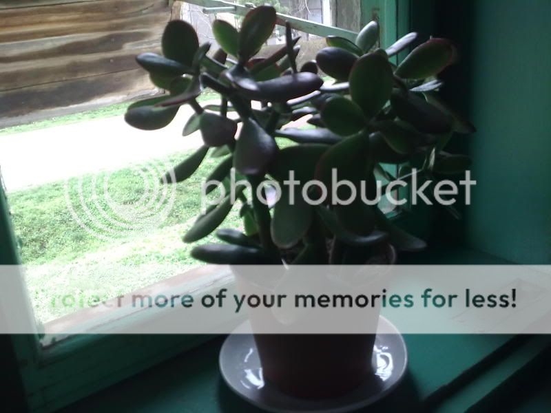 licni kontakti sarajevo